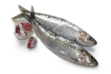 Via SP228 del Lago di Viverone n. 16, Roppolo, Biella 13883. Email: info@acquadolcesalatapescheria.it
Telefoni nr.  0161987145