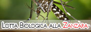 Lotta alla zanzara